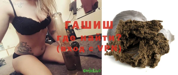 стаф Алзамай