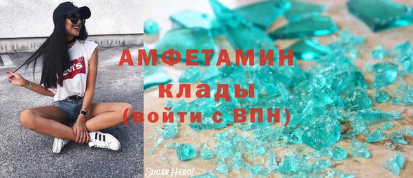 стаф Алзамай