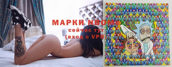 стаф Алзамай