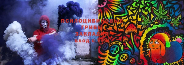 стаф Алзамай