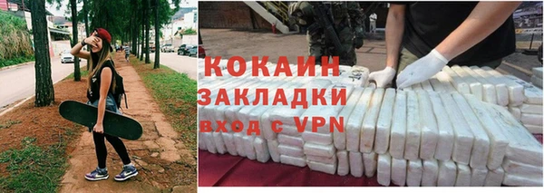 стаф Алзамай