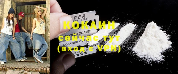 шишки Алексин