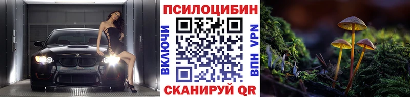 закладка  ОМГ ОМГ маркетплейс  Псилоцибиновые грибы Cubensis  Приозерск 
